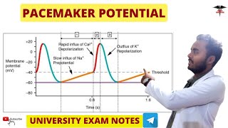 Pacemaker  Pacemaker Potential  SA Node  CVS Physiology [upl. by Yeliah462]