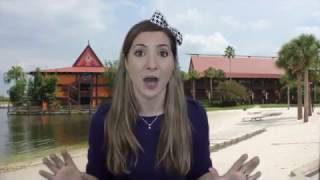 Back to the Basics Series  EXTRA MAGIC HOURS AT WALT DISNEY WORLD [upl. by Glendon]