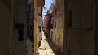 Exploring Blanes in Costa Brava [upl. by Paddie532]