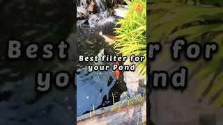 Pond filter  wetland filter  aquarium  koi pond  J talks shorts koifish fishing [upl. by Nimad]