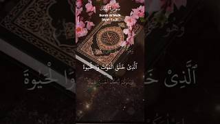 Surah AlMulk shorts alquran telawat [upl. by Anaujait891]