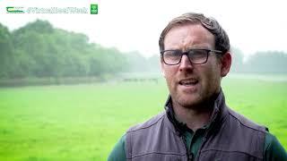 How to install and operate a simple paddock grazing system  Sean Roddy  Virtual Beef Week [upl. by Routh]