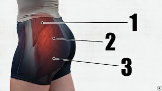 How To Grow Your Glutes 5 BEST Exercises  Gluteal Amnesia Myth Busting [upl. by Ebony]