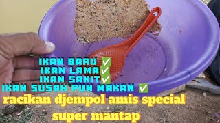 racikan djempol amis spesial super MANTAPP✅✅ ikannya makanin terusss [upl. by Ciredor]