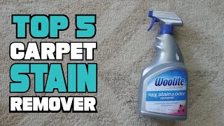 Best Carpet Stain Remover Reviews 2024  Best Budget Carpet Stain Removers Buying Guide [upl. by Arrakat]