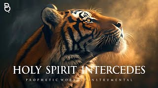 INTERCESSION INSTRUMENTAL  PROPHETIC PRAYER MUSIC [upl. by Islek]