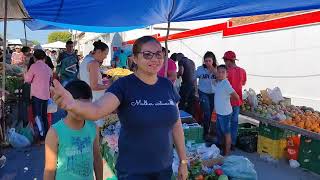 Feira de Livre de Minador do negrão Alagoas  Nordeste Brasil [upl. by Alliscirp]