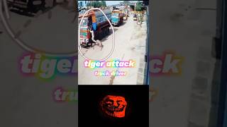 Hyderabad tiger attack ll Dog vs tiger ll gali ka sher lndian Dog cctvtrend viralsorts video [upl. by Devon697]