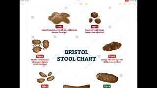 Bristol 💩Stool💩Chart [upl. by Yortal]