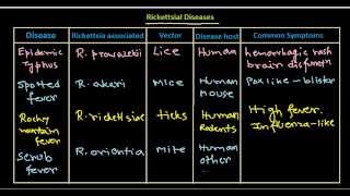 Rickettsial disease [upl. by Brocky]