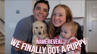 WE GOT A PUPPY NAME REVEAL [upl. by Eitten773]