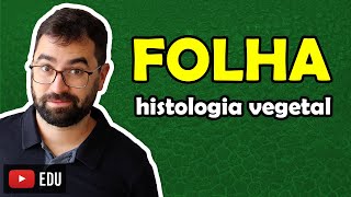 Histologia da Folha  Aula 11  Módulo V Botânica  Prof Guilherme [upl. by Tuesday]