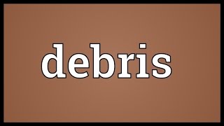 Debris Meaning [upl. by Kyrstin]