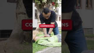 Mastering Chest Compressions [upl. by Dranyar823]