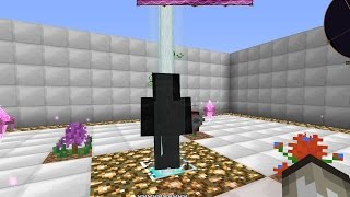 Botania 4  Guardian of Gaia II kill [upl. by Orfield]