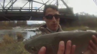 Buffalo Creek Steelhead [upl. by Atekahs]