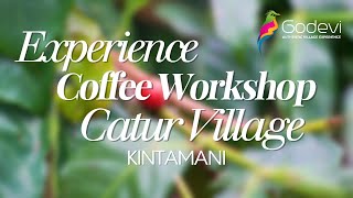 Experience Coffee Workshop In Catur Village Kintamani [upl. by Arykahs]