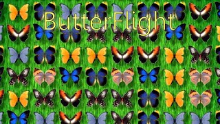 ButterFlight by Absolutist Windows game 2003 [upl. by Nimaynib]