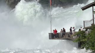 Rheinfall Switzerland Extrem Wasser Sommer 2024  Swiss View [upl. by Iatnohs996]