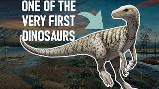 Herrerasaurus  Discover the First Dinosaurs [upl. by Lanette]