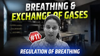 11Regulation of BreathingPneumotaxic CentreRespiratory SystemBreathing amp Exchange of GasesNEET [upl. by Cohlier]