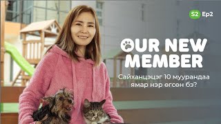 Our new member  S2  Ep2  Saikhantsetseg and her cats [upl. by Isied]