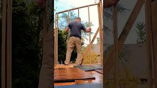 Framing shed walls construction shed diy shedroof building shedwork shedlife garden [upl. by Lohman]