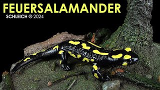 Schleich ® Feuersalamander  Salamandra salamandra  Review Deutsch  German Neuheit 2024 New [upl. by Eahsel]