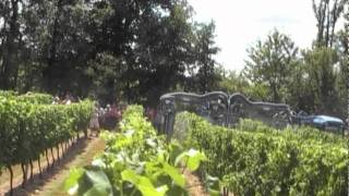 Les technologies de pulvérisation en viticulture [upl. by Eenafets868]