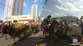 35 cavalgada e Abertura da 49 Exposul de Rondonopolis Mato Grosso [upl. by Georgiana592]