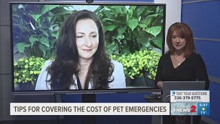 Tips from a vet on emergency visits and the cost  Part 1 [upl. by Eelan560]