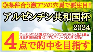 【アルゼンチン共和国杯2024】◎絶好条件で馬場も味方してくれそうなあの穴馬の激走に期待！ [upl. by Silrak]