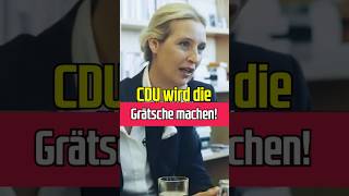 Weidel PROPHEZEIT CDU Grätsche [upl. by Eniamsaj]