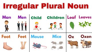 Irregular Plural Noun  Basic English for Beginners  Daily English  Improve English [upl. by Alyhs]