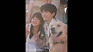 💞Happy endings💞multidrama💞tamil edits💞korean mix💞tamil whatsapp status💞 [upl. by Phenice823]