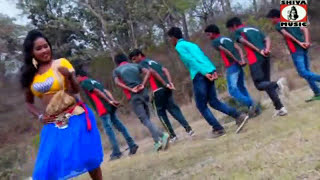 Purulia Song 2022  Jhule Jhule Ache  Biswanath amp Anita Das  Superhit  Manbhum Bangla Song [upl. by Terriss]