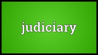 Judiciary Meaning [upl. by Ajiram]