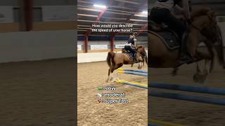 Comment 🐢 🐇 or 🚀 equestrian horse horses pony pferde cheval hest trending funny fun [upl. by Rintoul]