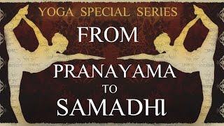 Yoga Special Series From Pranayama to Samadhi [upl. by Llerrom]