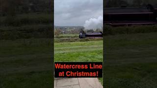 The Watercress Railway Line at Christmas is TRULY STUNNING [upl. by Vanda210]