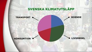 ”Svenskars klimatpåverkan mycket värre än vad som syns i statistiken”  Nyheterna TV4 [upl. by Cassie]