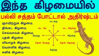 இந்த கிழமையில் பல்லி சத்தம் போட்டால் அதிர்ஷ்டம்  Meaning for Lizards noise  T Tamil Technology [upl. by Farrah240]