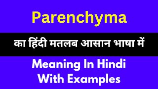 Parenchyma meaning in HindiParenchyma का अर्थ या मतलब क्या होता है [upl. by Arlene]