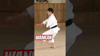 Wankan The shortest shotokan kata karate martialarts [upl. by Dukie26]