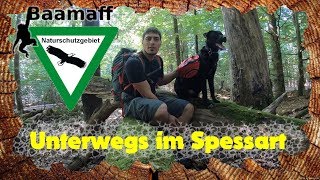 400 jährige Eichen  Wandern in Spessart  Eichhall und Geiersberg [upl. by Oiluj]