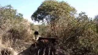 Turnbull Canyon Whittier CA Mountain Biking [upl. by Bose704]