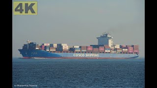 XIN WEI HAI  Shipspotting Germany 🇩🇪 IMO 9312573  River Elbe near City Otterndorf  4K VIDEO [upl. by Eadahc]