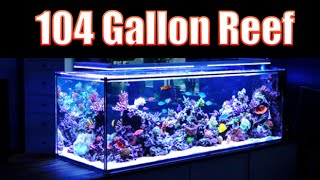 BREATHTAKING Reef Aquarium HD 104 Gallons [upl. by Yauq]