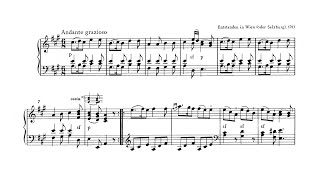 Mozart Piano Sonata No 11 in A Major K 331 Score [upl. by Clite]