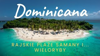 Najpiękniejsze plaże wieloryby czyli dominikański raj na Półwyspie Samana [upl. by Mckale]